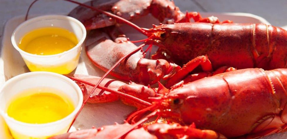 37th Annual Hampton Beach Seafood Festival